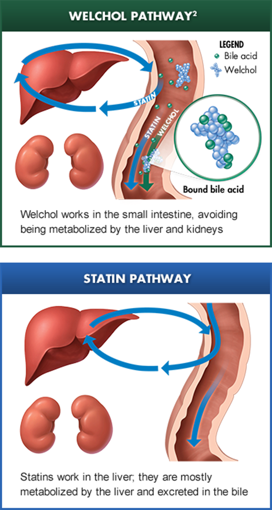 Welchol® Drug Mechanism of Action